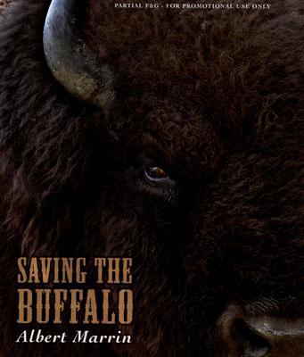 Saving the buffalo