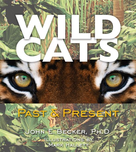 Wild cats : past & present