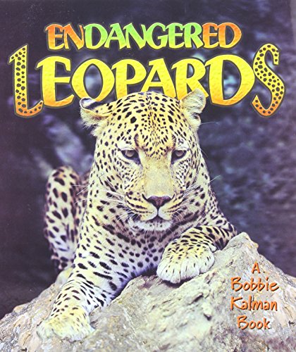Endangered leopards