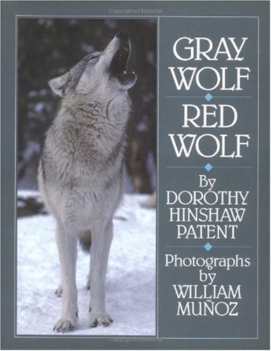 Gray wolf, red wolf