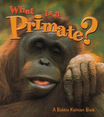 What is a primate