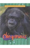 Chimpanzees