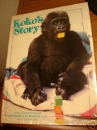 Koko's story
