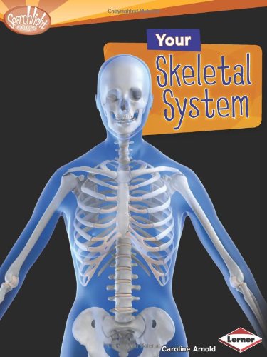 Your skeletal system