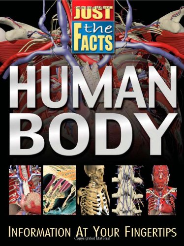 Human body