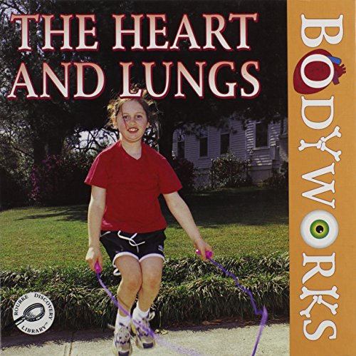 The heart and lungs