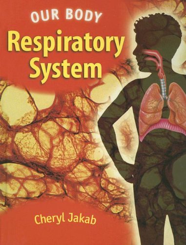 The respiratory system