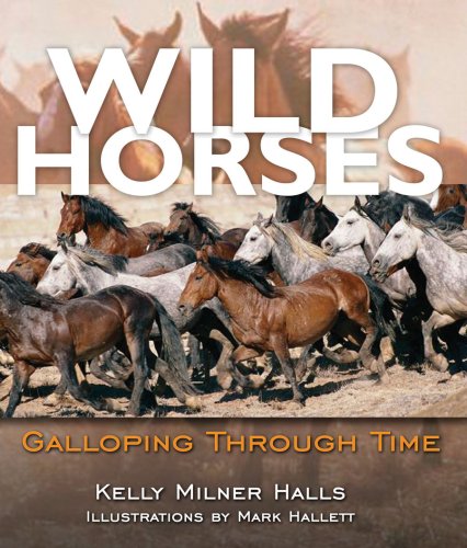 Wild horses : galloping through time
