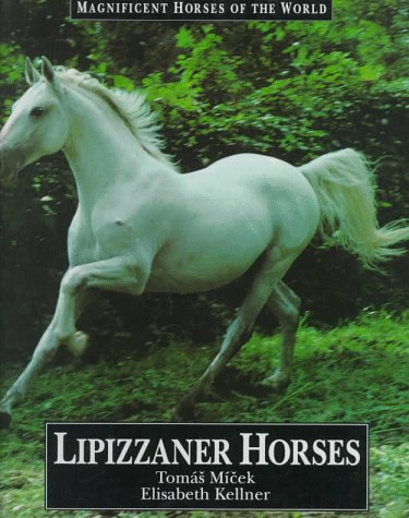 Lipizzaner horses