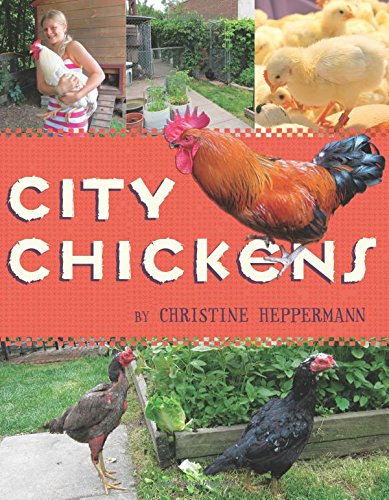 City chickens