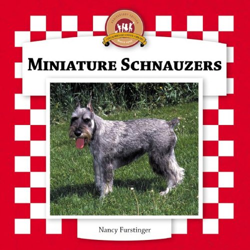 Miniature schnauzers