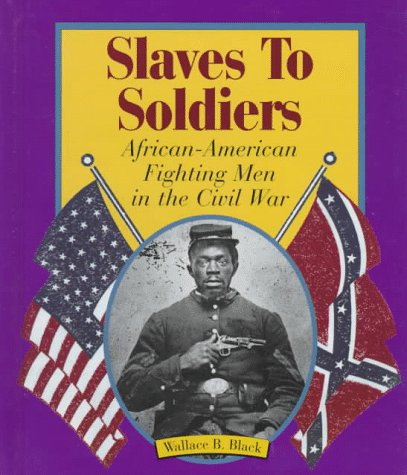 Slaves to soldiers : African-American fighting men in the Civil War