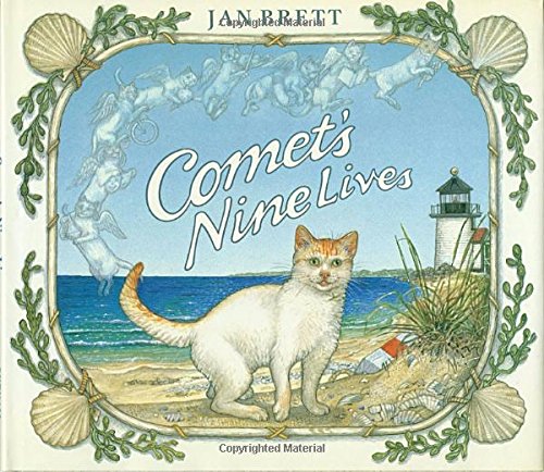 Comet's nine lives