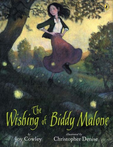 The wishing of Biddy Malone