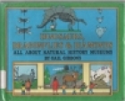 Dinosaurs, dragonflies & diamonds : all about natural history museums