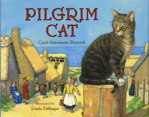 Pilgrim cat