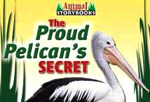 The proud pelican's secret