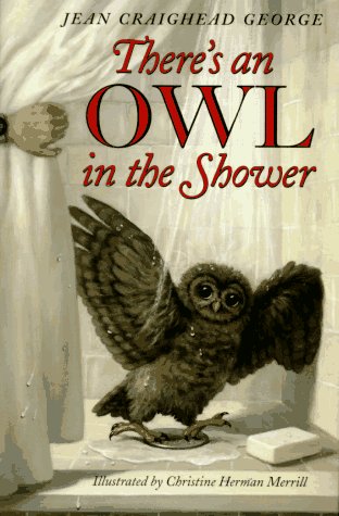 There's an owl in the shower