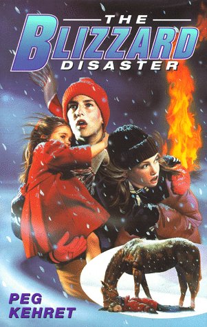 The blizzard disaster