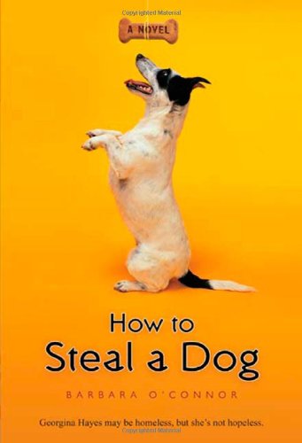 How to steal a dog : a novel