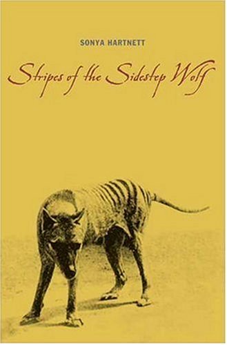 Stripes of the sidestep wolf