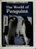 The world of penguins
