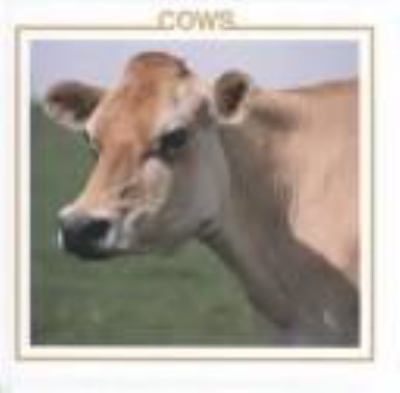 Cows