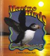 Marine birds