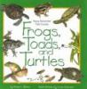 Frogs, toads, and turtles