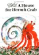 A house for Hermit Crab