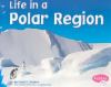 Life in a polar region