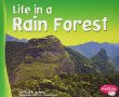 Life in a rain forest