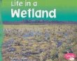 Life in a wetland