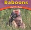 Baboons : life in the troop