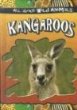 Kangaroos.