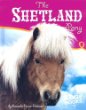 The Shetland pony