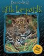 Little leopards