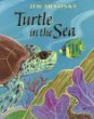Turtle in the sea