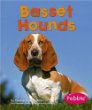 Basset hounds