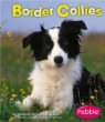 Border collies