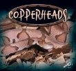 Copperheads