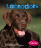 Labradors