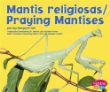 Praying mantises