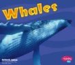 Whales