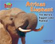 African elephant : the world's biggest land mammal