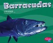 Barracudas