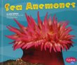 Sea anemones