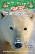 Polar bears and the Arctic : a nonfiction companion to polar bears past bedtime