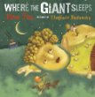 Where the giant sleeps