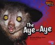 The aye-aye